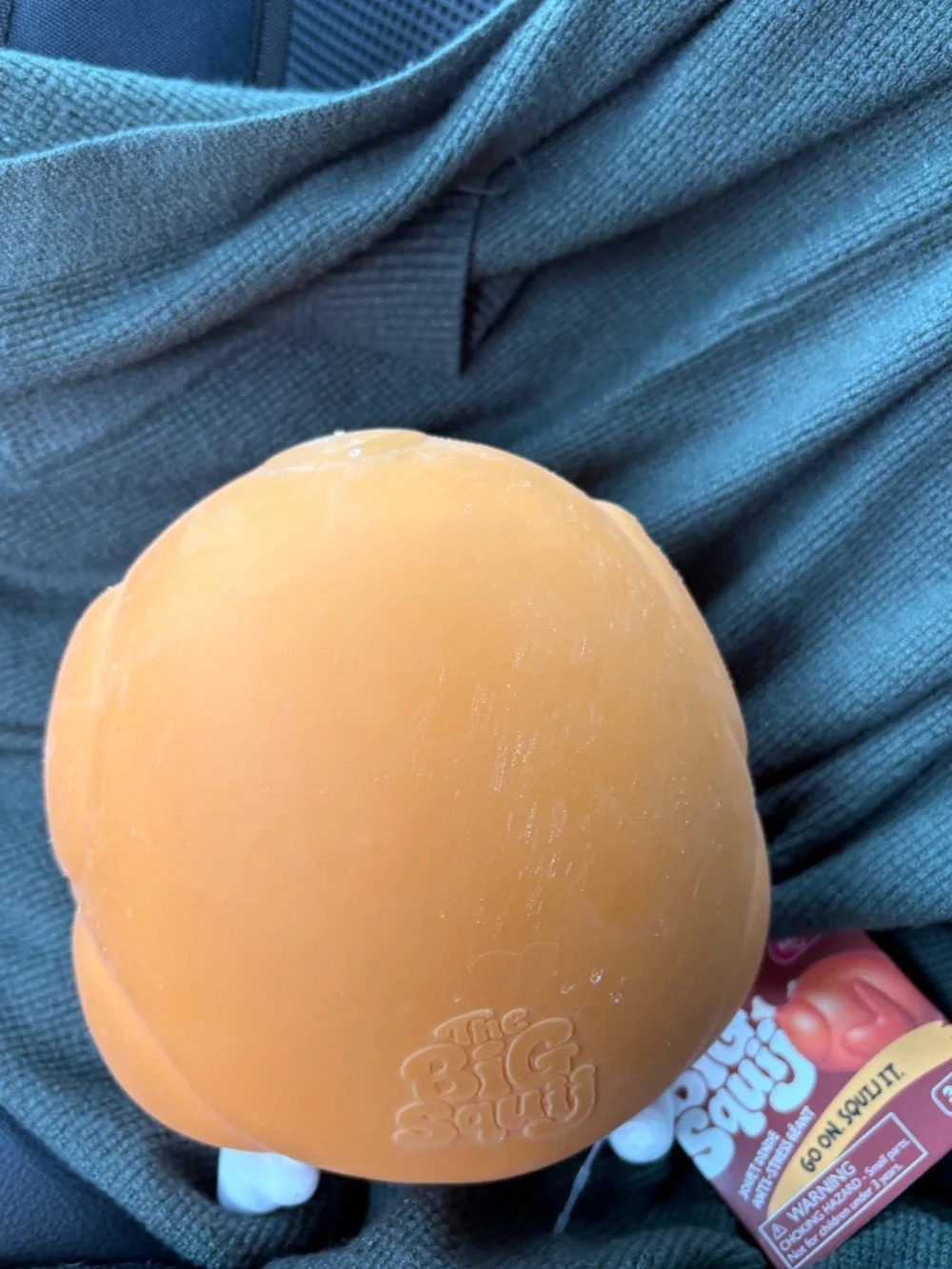 BRAND NEW RELEASE GIANT TURKEY SQUISHY